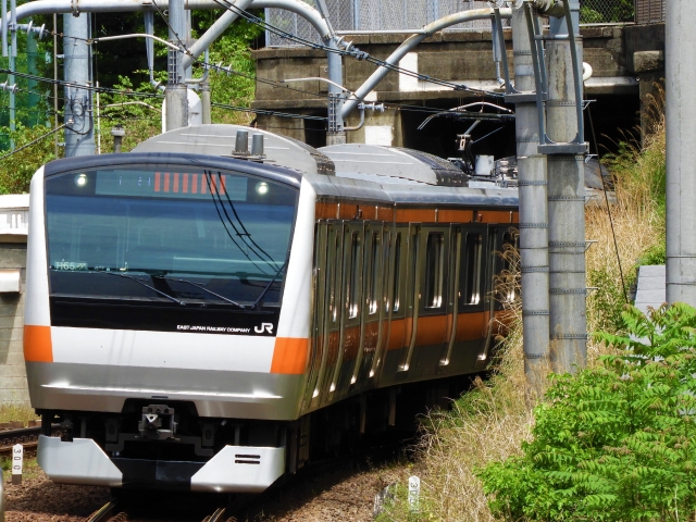 のんびりホリデーSuicaパスで首都圏名所巡り