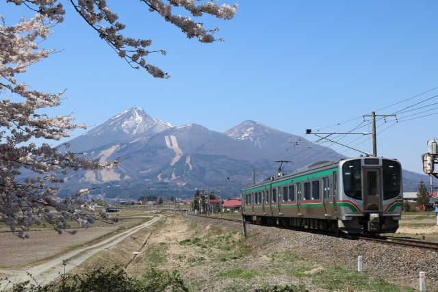 サクラ咲く 稲苗代・会津旅 自然散策と歴史巡り